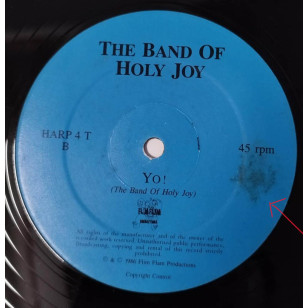 The Band Of Holy Joy - Who Snatched The Baby 1986 UK 12" Single Vinyl LP ***READY TO SHIP from Hong Kong***